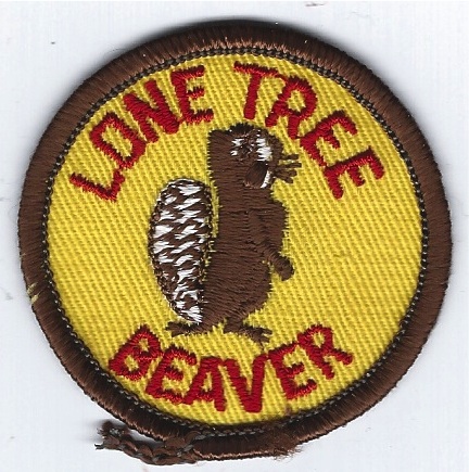 Lone Tree Scout Reservation - Beaver