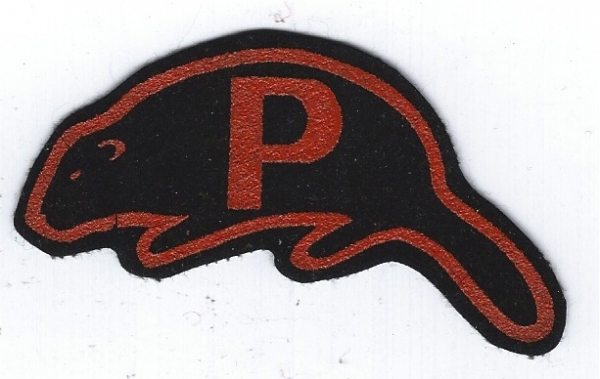 Camp Pomperaug - Beaver Award