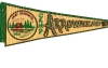 Camp Arrowhead Pennant