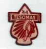 1944 Camp Tesomas
