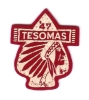 1947 Camp Tesomas