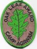 Camp Agawam - Green Oak Leaf Award