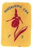 1975 Massawepie Scout Camps - Award