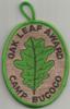 Camp Bucoco - Green Oak Leaf Award