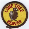 Lone Tree Scout Reservation - Beaver