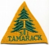 1951 Camp Tamarack