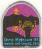 1993 Camp Melakwa