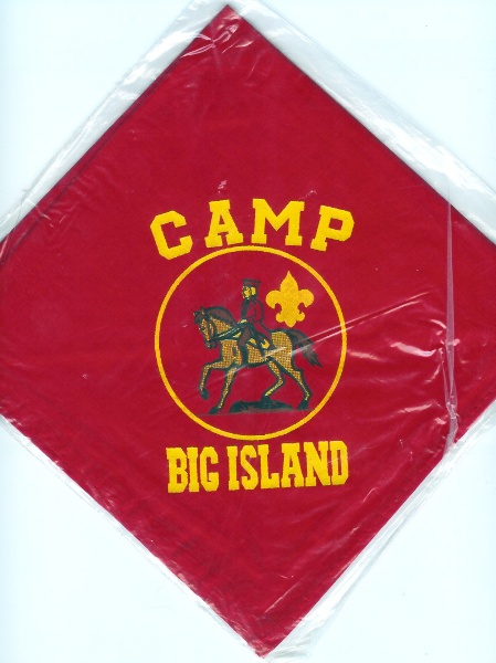 Camp Big Island