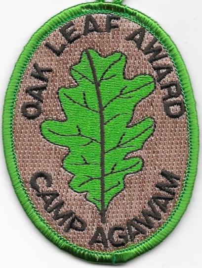 Camp Agawam - Green Oak Leaf Award