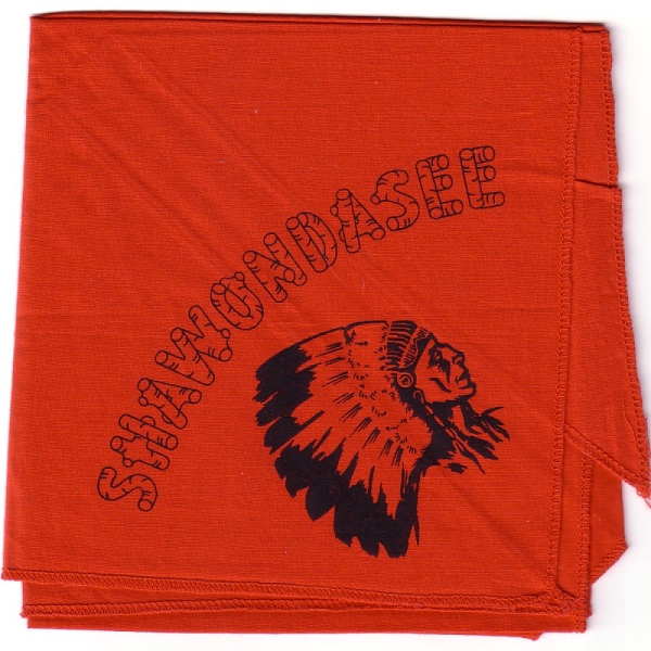 Camp Shawondasee