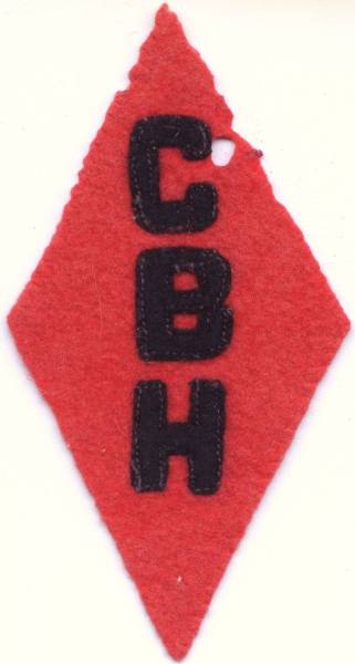 1927 Camp Benjamin Hawkins - Swim Patch