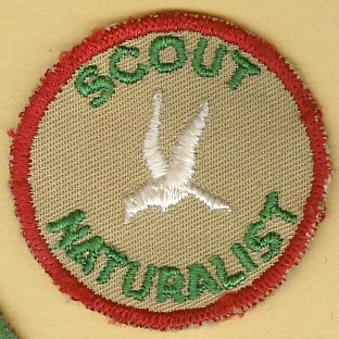 1950 Camp Emerson - Naturalist