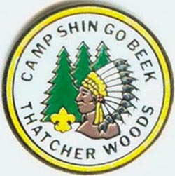 Camp Shin Go Beek - Pin