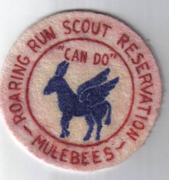 Roaring Run Scout Reservation Mulebees