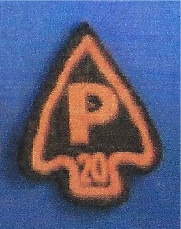 Camp Pomperaug - 20 Years