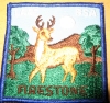 Firestone Scout Reservation