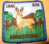 Firestone Scout Reservation