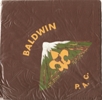 Camp Baldwin