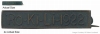 1922 Camp Rokili - Pin