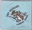 1970s Camp Woodland