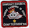 1984 Camp Tesomas