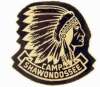 Camp Shawondossee