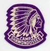 Camp Shawondossee