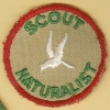 1950 Camp Emerson - Naturalist 1950 Camp Emerson - Naturalist