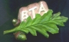 BTA - Leaf