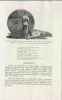 (06) 1922 Camp Burroughs - Booklet - Page 5 (06) 1922 Camp Burroughs - Booklet - Page 5