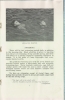 (10) 1922 Camp Burroughs - Booklet - Page 9 (10) 1922 Camp Burroughs - Booklet - Page 9