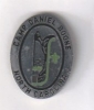 Camp Daniel Boone - Pin