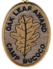 Camp Bucoco - Bronze Oak Leaf Award