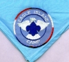 Eagle Island Scout Camp