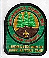 Camp Cedars - Leader Patch