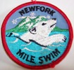 Camp New Fork - Polar Plunge Mile Swim