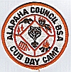 Cub Day Camp