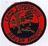 Camp Pomperaug - Beaver Award